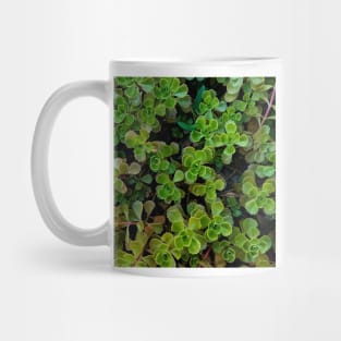 Stonecrop Leaves Depth Color Mug